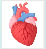 Tetrahydropyridine Powder Tetrahydropyridine Powder