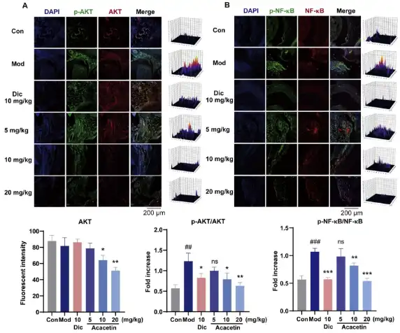 Acacetin Powder Acacetin Powder