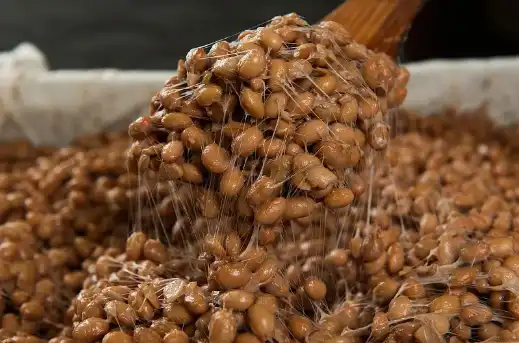 Bulk Nattokinase Bulk Nattokinase