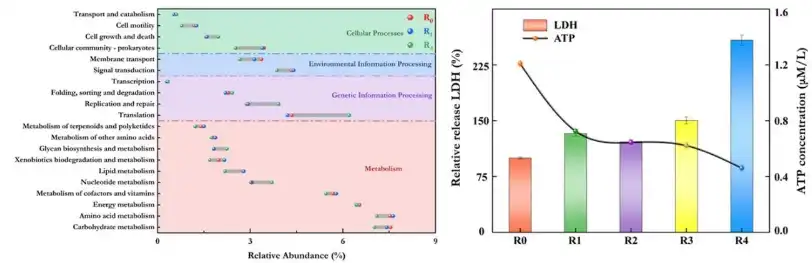Zinc Pyrithione Powder Zinc Pyrithione Powder