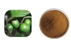 Pygeum extract Powder