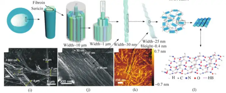 Silk Fibroin Silk Fibroin