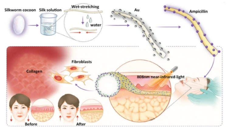Silk Fibroin Silk Fibroin