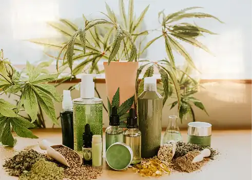 Spermidine 3HCL Spermidine 3HCL