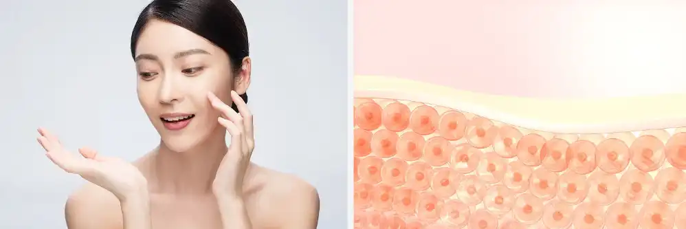 Vitamin B6 Powder Vitamin B6 Powder