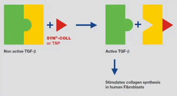 Palmitoyl Tripeptide-5 Palmitoyl Tripeptide-5