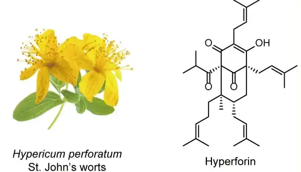 Hypericin Hypericin