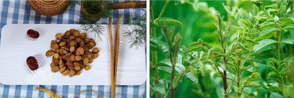 Glabridin powder Glabridin powder