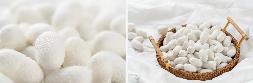 Silk peptide Silk peptide