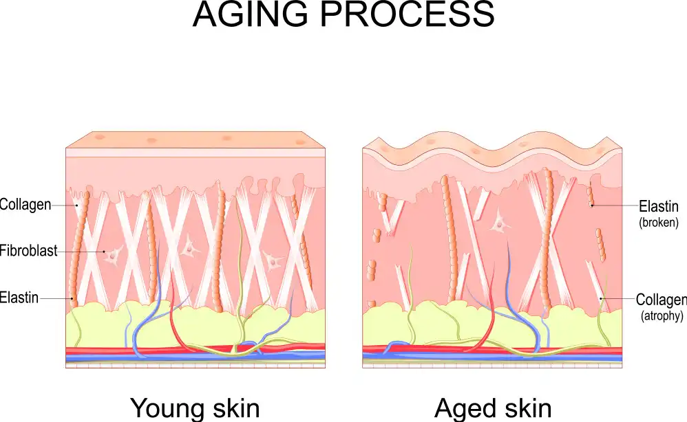Bulk Retinoic Acid Bulk Retinoic Acid