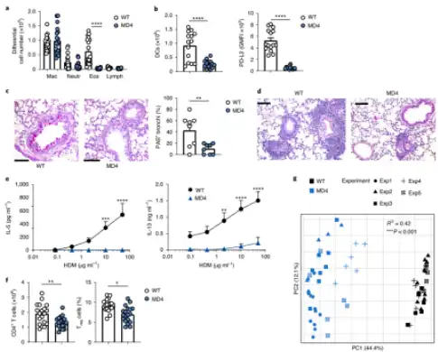 Bulk L-Tyrosine Bulk L-Tyrosine