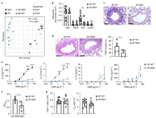 Bulk L-Tyrosine Bulk L-Tyrosine