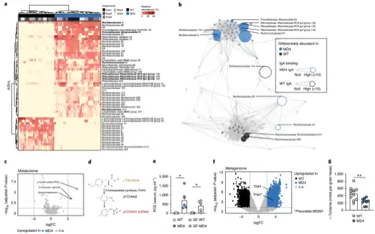 Bulk L-Tyrosine Bulk L-Tyrosine