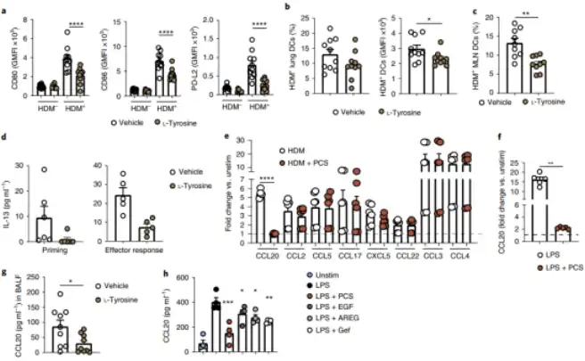 Bulk L-Tyrosine Bulk L-Tyrosine
