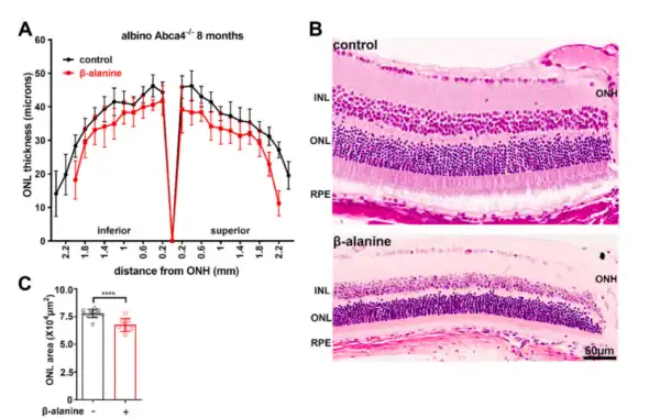Retinaldehyde Powder Retinaldehyde Powder