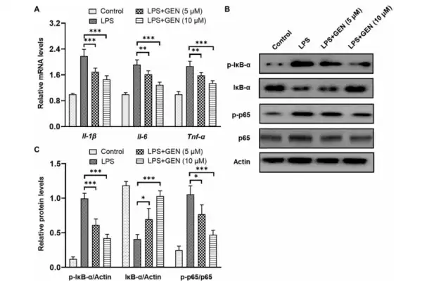 Geniposide Powder Geniposide Powder