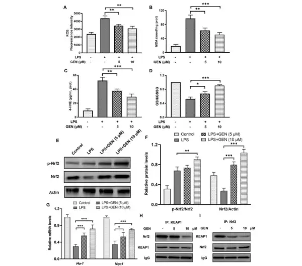 Geniposide Powder Geniposide Powder