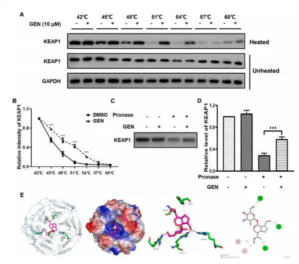 Geniposide Powder Geniposide Powder