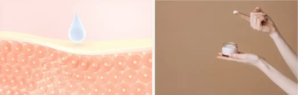 Ellagic acid Ellagic acid