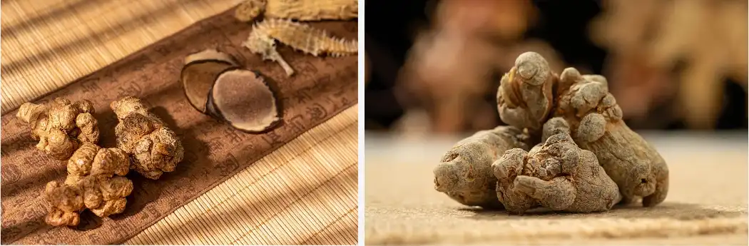 panax notoginseng extract panax notoginseng extract