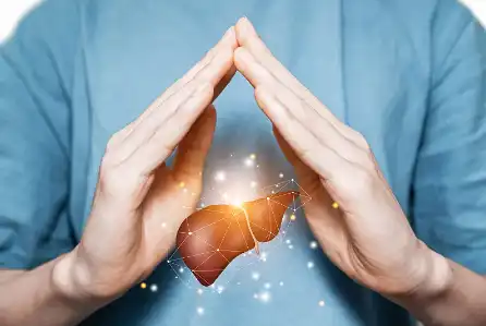 Soybean Phosphatidylcholine Powder Soybean Phosphatidylcholine Powder