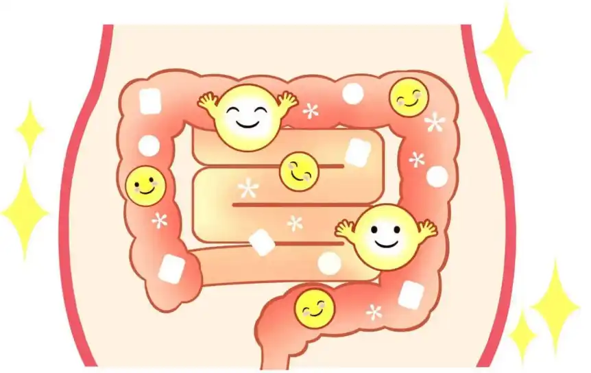 Bulk Allulose Powder Bulk Allulose Powder