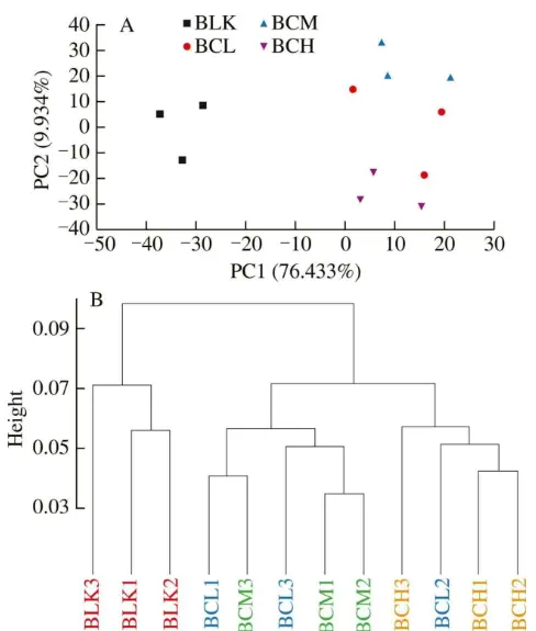 Bulk Beta Carotene Powder Bulk Beta Carotene Powder