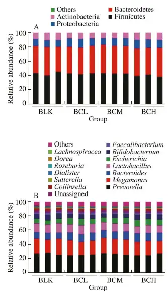 Bulk Beta Carotene Powder Bulk Beta Carotene Powder