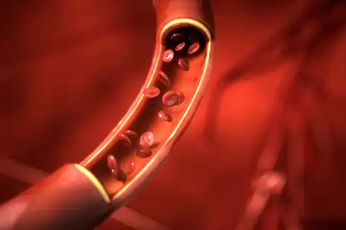 Bulk Beta Carotene Powder Bulk Beta Carotene Powder