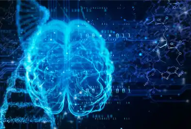 Bulk Vitamin B1 Powder Bulk Vitamin B1 Powder