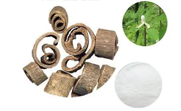 Magnolol & Honokiol Magnolol & Honokiol