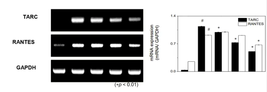 Beta sitosterol Powder Beta sitosterol Powder