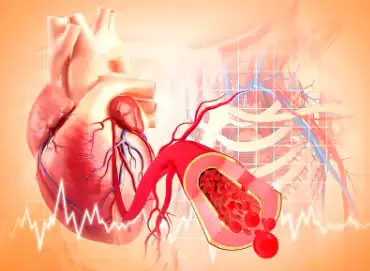 Carnosic acid powder Carnosic acid powder