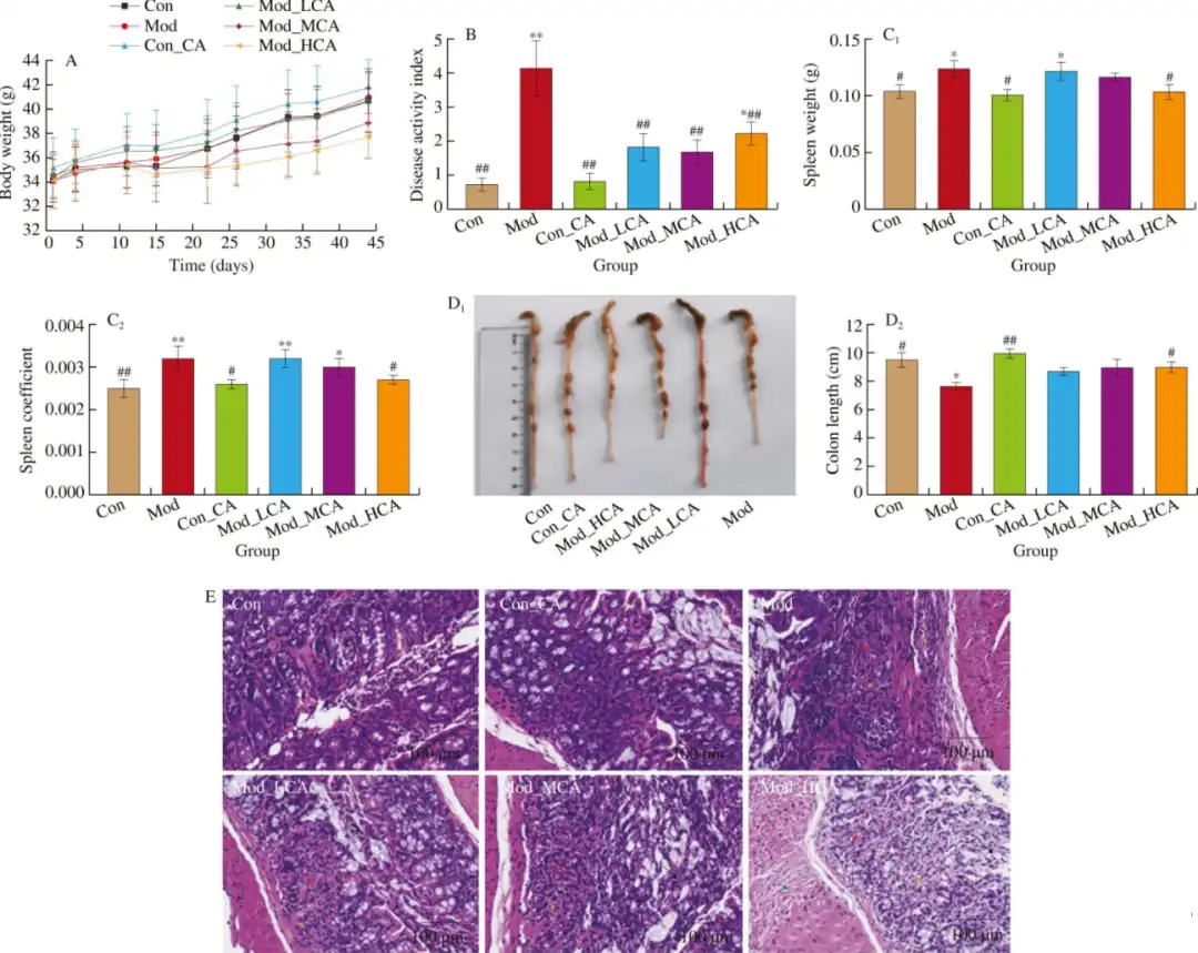 Carnosic acid powder Carnosic acid powder