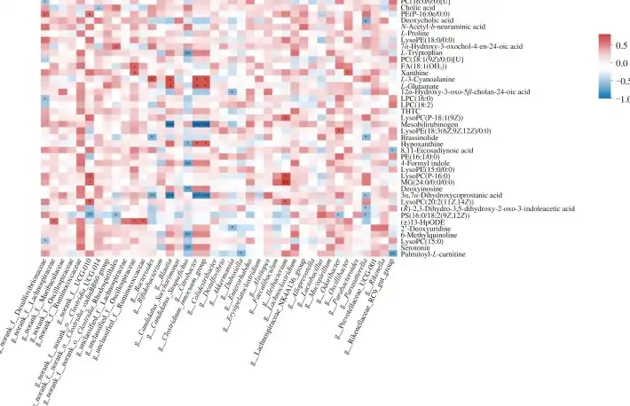 Carnosic acid powder Carnosic acid powder