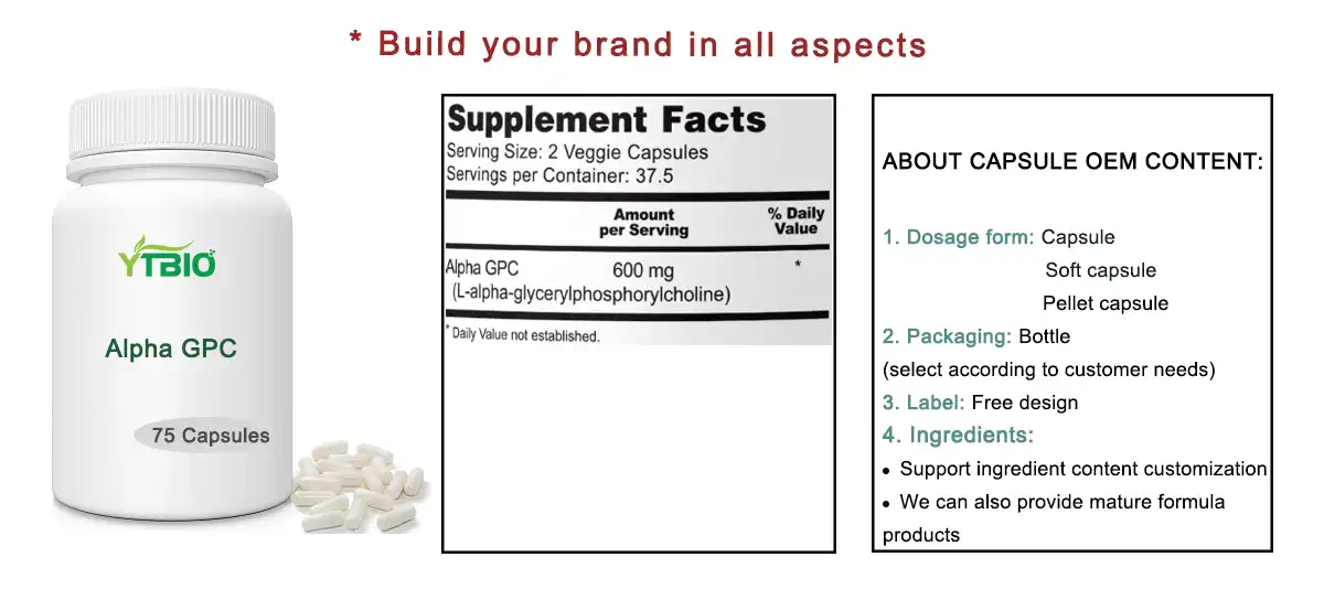 Bulk Alpha GPC Powder Bulk Alpha GPC Powder