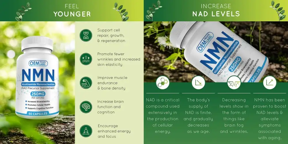 NMN Caosules NMN Caosules