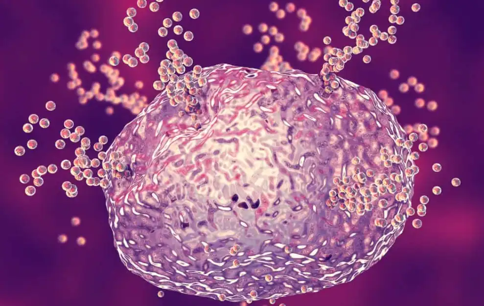 Pyrroloquinoline quinone Pyrroloquinoline quinone