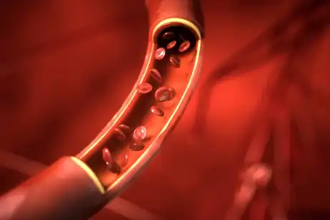 Pure pine oil Pure pine oil