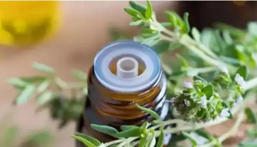 Thyme Extract oil Thyme Extract oil