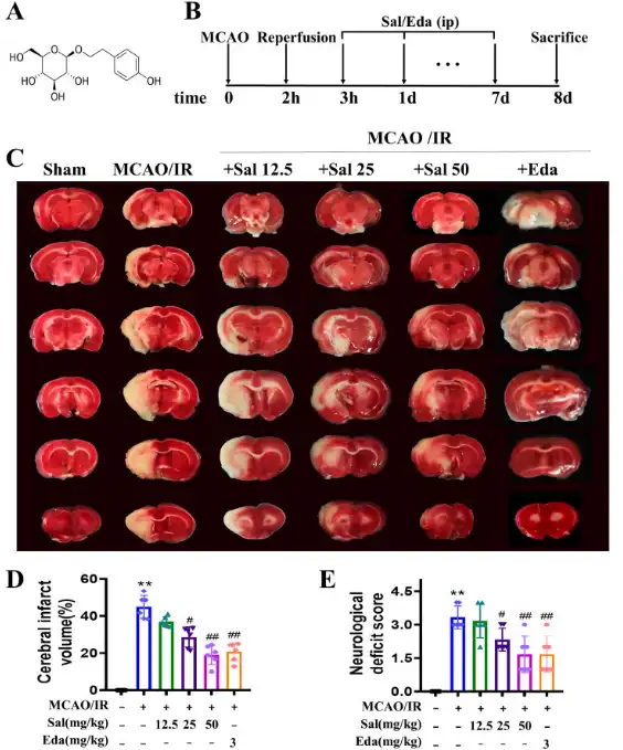 Salidroside powder Salidroside powder