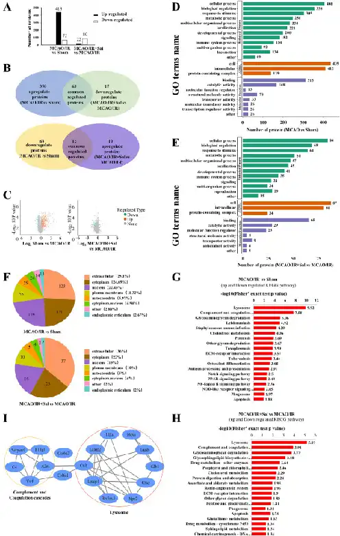 Salidroside powder Salidroside powder