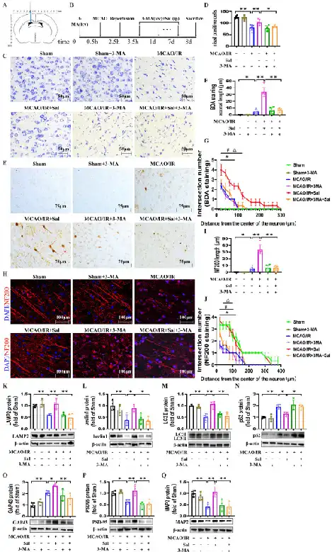 Salidroside powder Salidroside powder