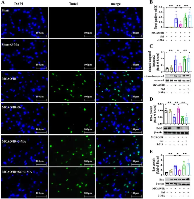 Salidroside powder Salidroside powder