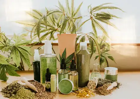 Ceramide 3B Ceramide 3B