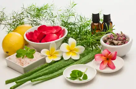 Best Tea Tree Essential Oil