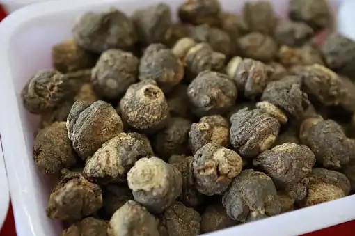 Pure Maca Extract Pure Maca Extract