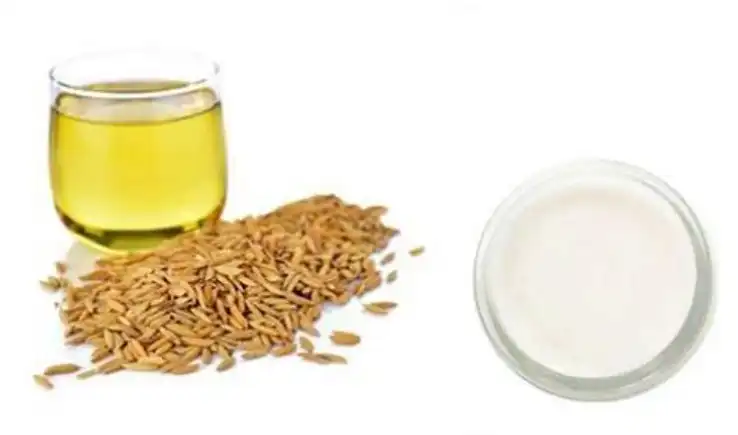 Oryzanol powder Oryzanol powder