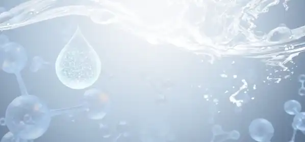 Dimethylmethoxy Chromanyl Palmitate Powder Dimethylmethoxy Chromanyl Palmitate Powder