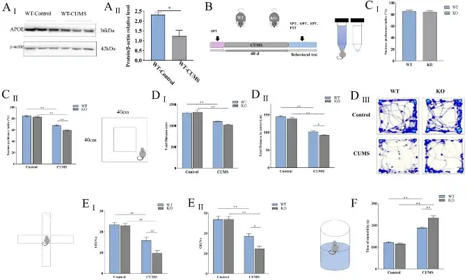 Saikosaponin Saikosaponin
